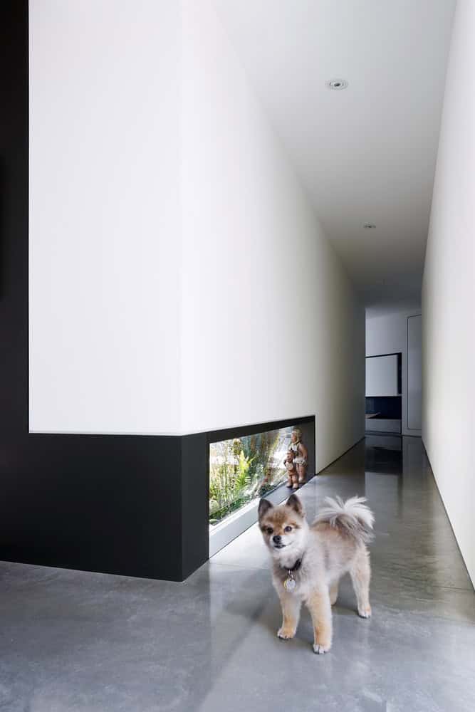 Okada Marshall House by D'Arcy Jones Architects in Sooke on Vancouver Island