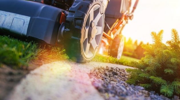 5 Lawn Care Services Homeowners Need