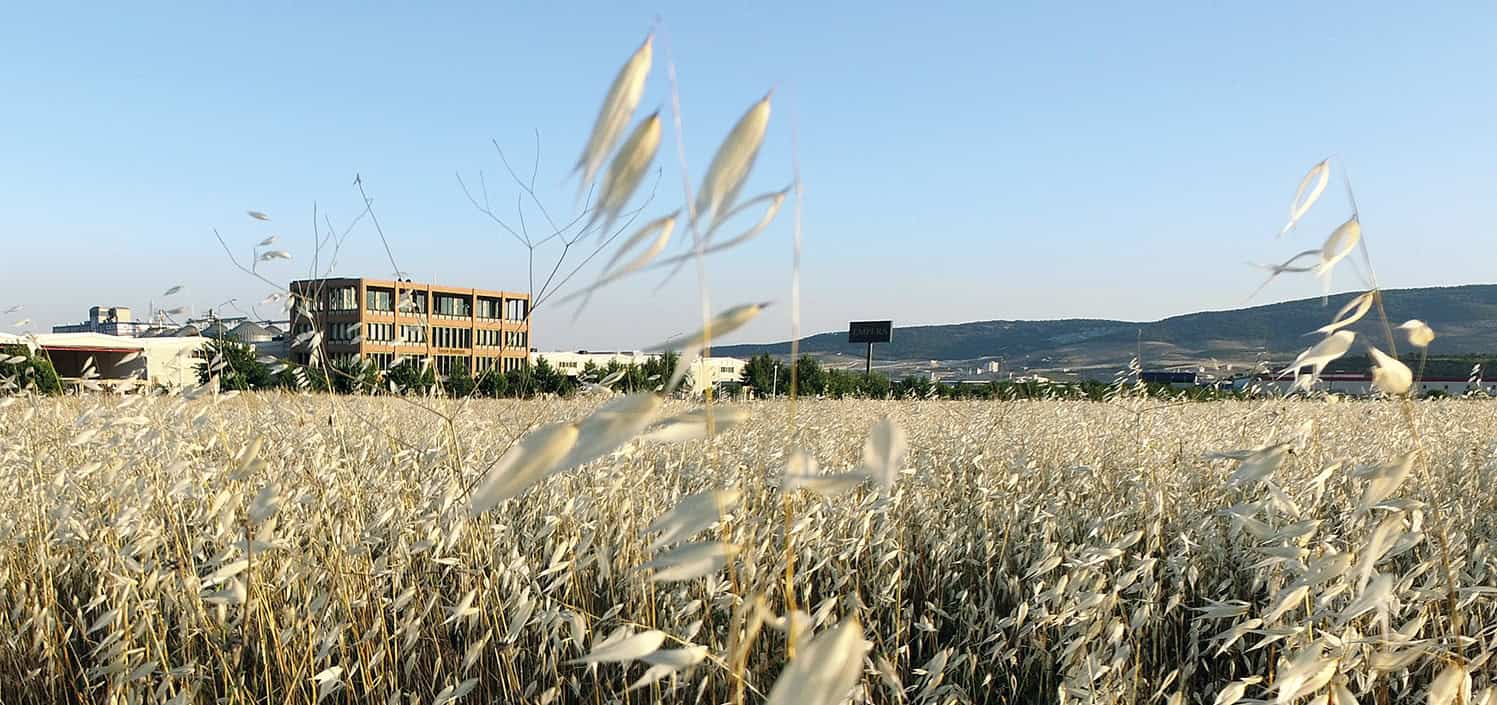 Inspired by The Red Soil Found in The Region: EMPERA HEADQUARTERS Inspired by The Red Soil Found in The Region: EMPERA HEADQUARTERS