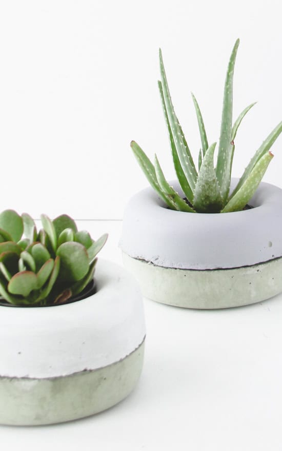 4. Quick & Easy DIY Concrete planters 4. Quick & Easy DIY Concrete planters