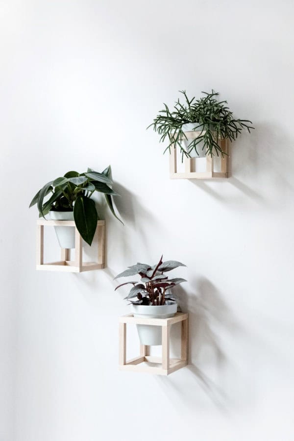 5. Wooden Cube Plant Holders 5. Wooden Cube Plant Holders