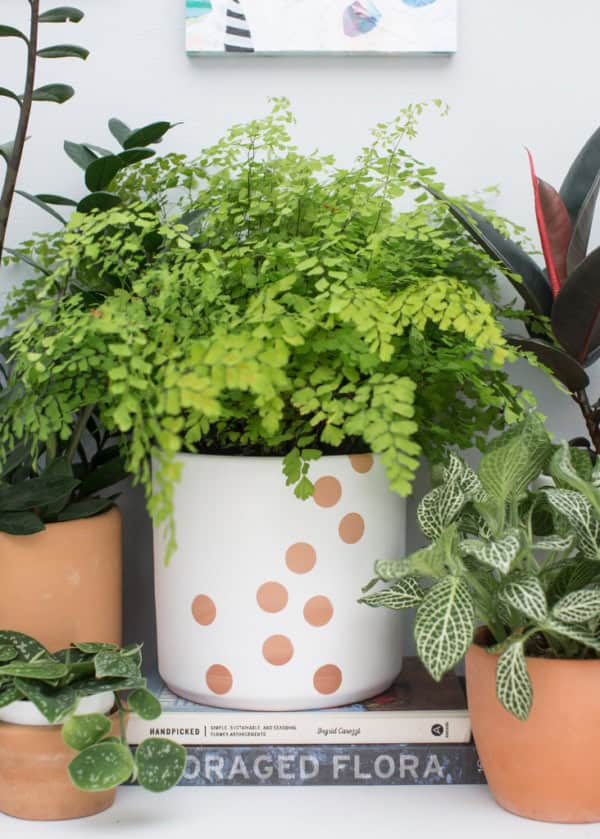7. Quick & Simple Polka Dot DIY Planter 7. Quick & Simple Polka Dot DIY Planter
