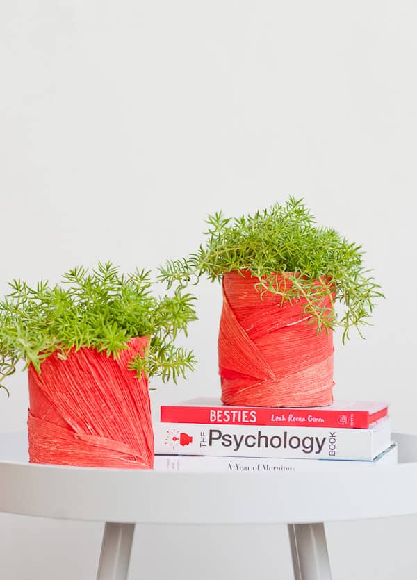 9. Upcycled Planter 9. Upcycled Planter