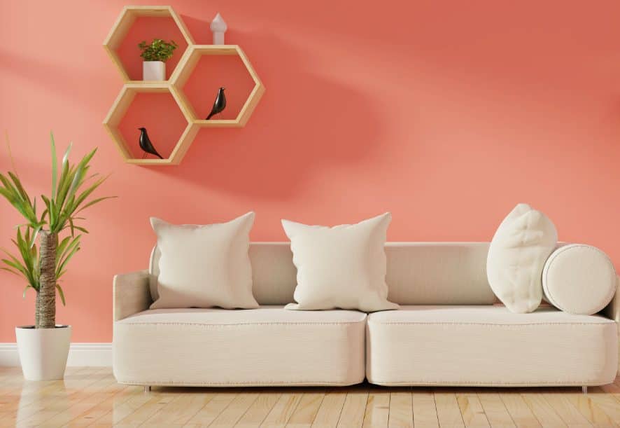 Living Coral- The Color Of 2019 Living Coral- The Color Of 2019