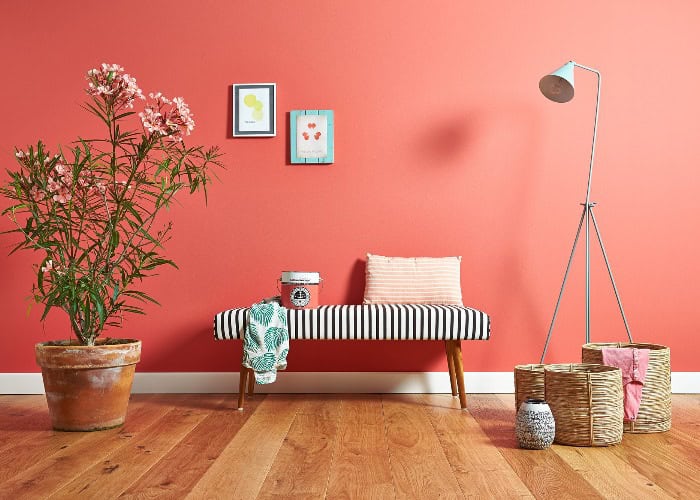 Living Coral- The Color Of 2019 Living Coral- The Color Of 2019