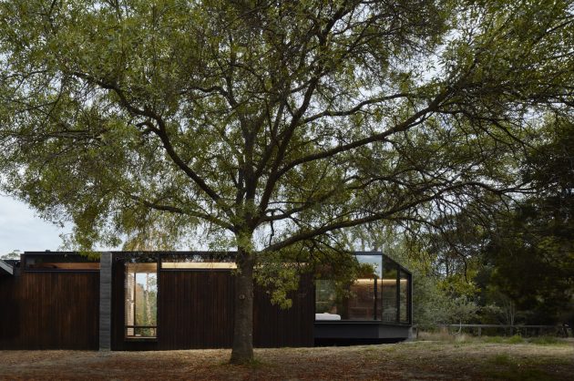 Pavilion Between Trees by Branch Studio Architects in Victoria, Australia