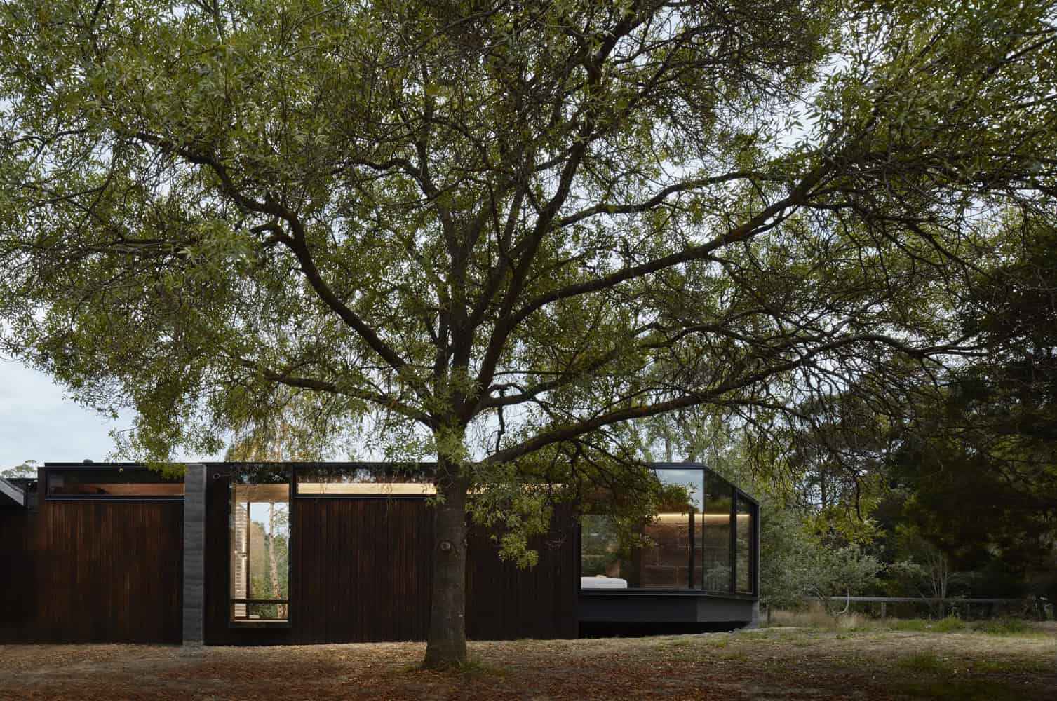 Pavilion Between Trees by Branch Studio Architects in Victoria, Australia Pavilion Between Trees by Branch Studio Architects in Victoria, Australia