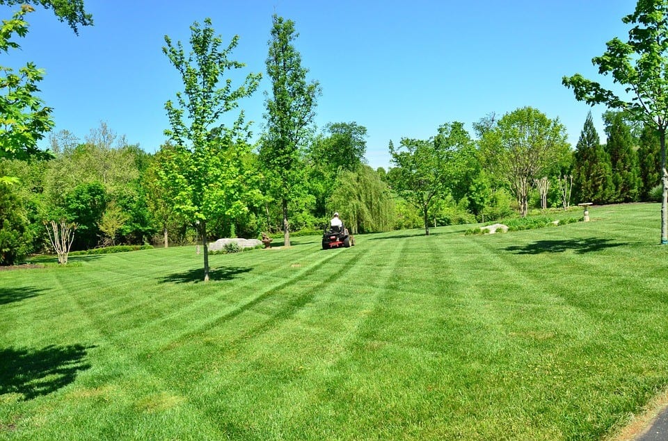 4 Tips to Maintain A Stress-Free Lawn In The Summer 4 Tips to Maintain A Stress-Free Lawn In The Summer