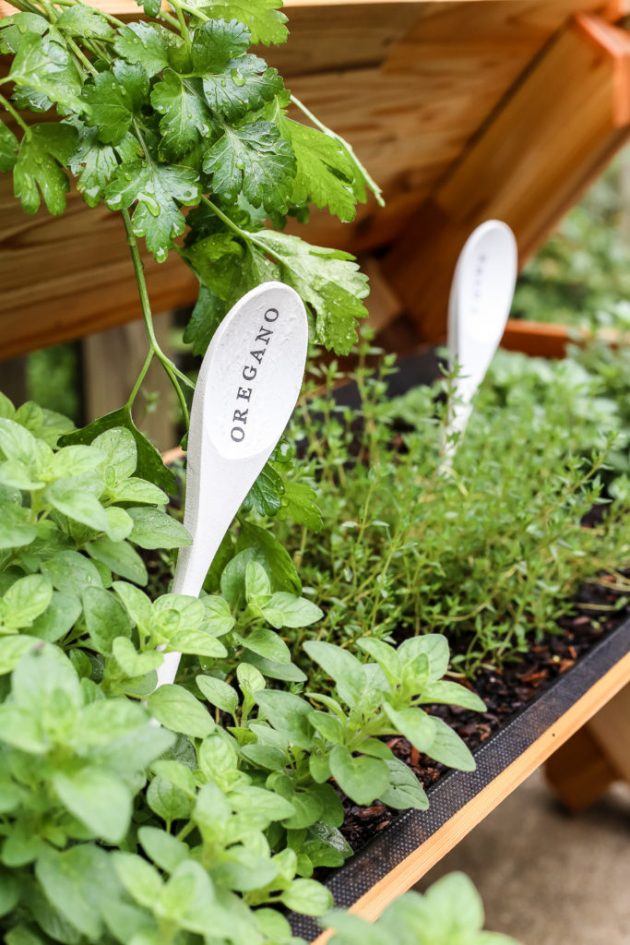 15 Cute DIY Garden Marker Ideas For Your Spring Garden