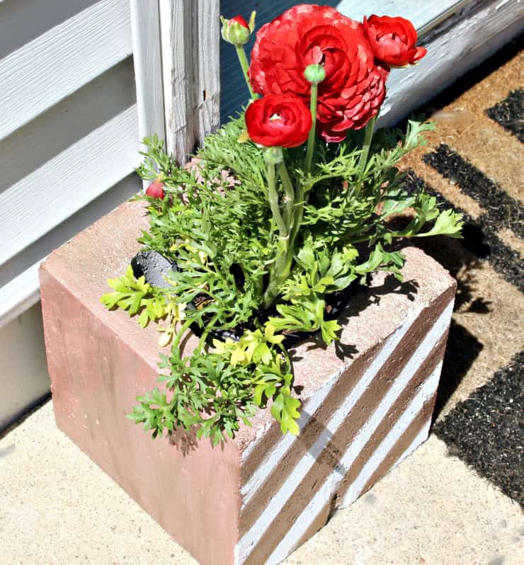 19 Cool Cinder Block Planters That Everyone Can Make 19 Cool Cinder Block Planters That Everyone Can Make