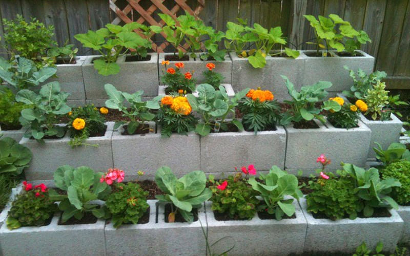 19 Cool Cinder Block Planters That Everyone Can Make 19 Cool Cinder Block Planters That Everyone Can Make