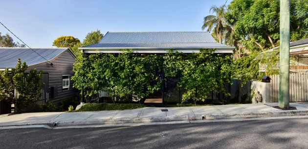 Terrarium House by John Ellway Architect in Brisbane, Australia