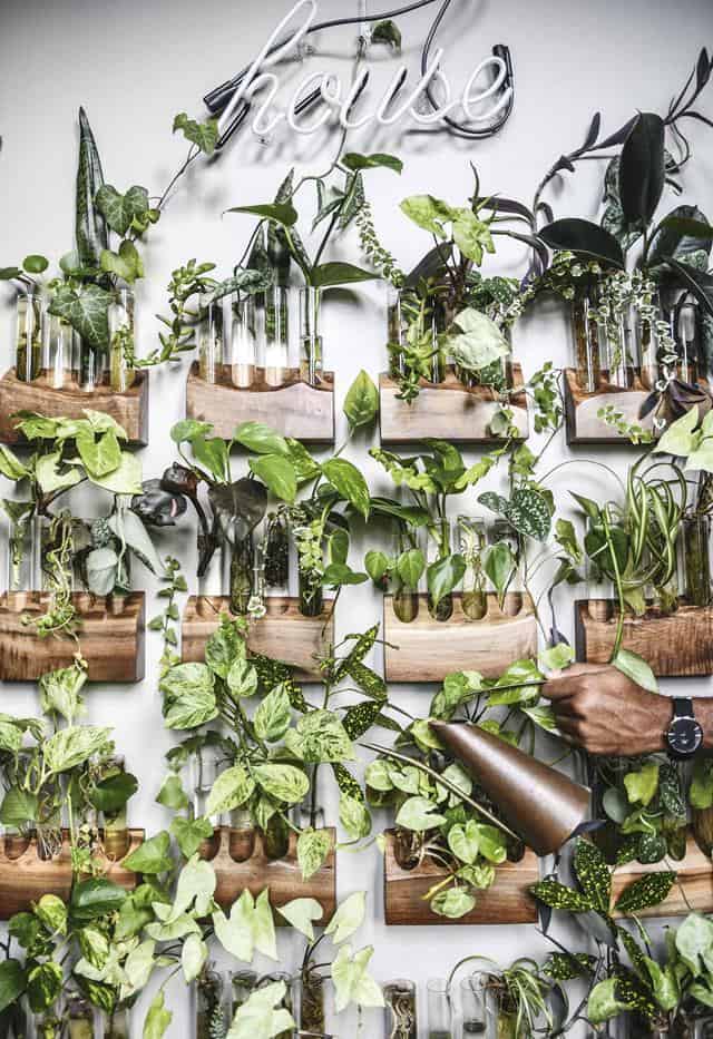 4 Astonishing Indoor Garden Spaces to Uplift the Spirit of Your Home 4 Astonishing Indoor Garden Spaces to Uplift the Spirit of Your Home