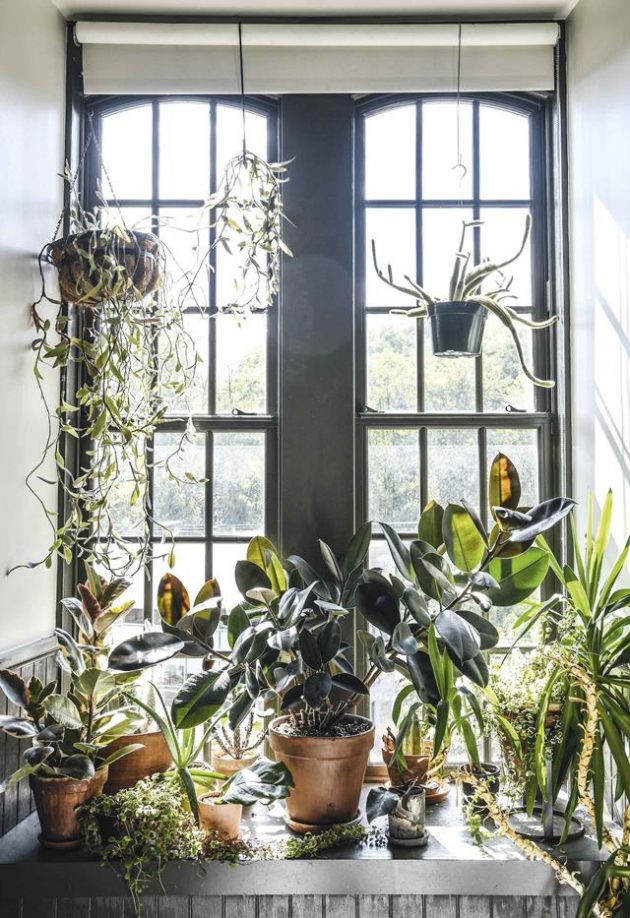4 Astonishing Indoor Garden Spaces to Uplift the Spirit of Your Home