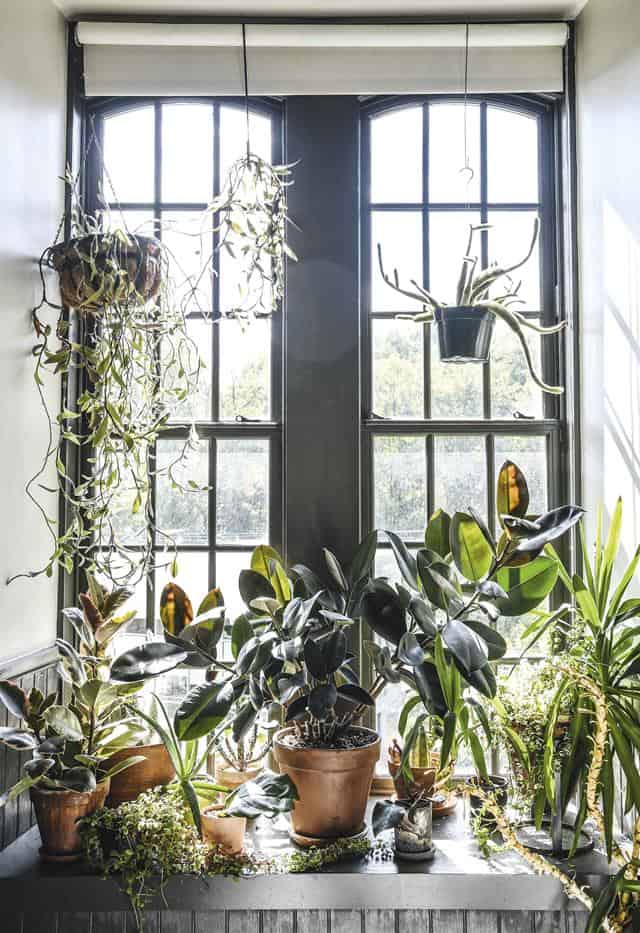 4 Astonishing Indoor Garden Spaces to Uplift the Spirit of Your Home 4 Astonishing Indoor Garden Spaces to Uplift the Spirit of Your Home