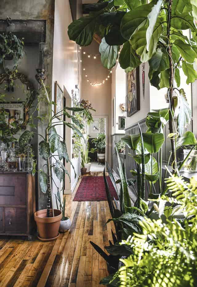 4 Astonishing Indoor Garden Spaces to Uplift the Spirit of Your Home 4 Astonishing Indoor Garden Spaces to Uplift the Spirit of Your Home