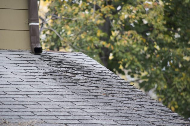 Maximize The Lifespan Of Your Roof And Avoid The Most Common Roofing Issues