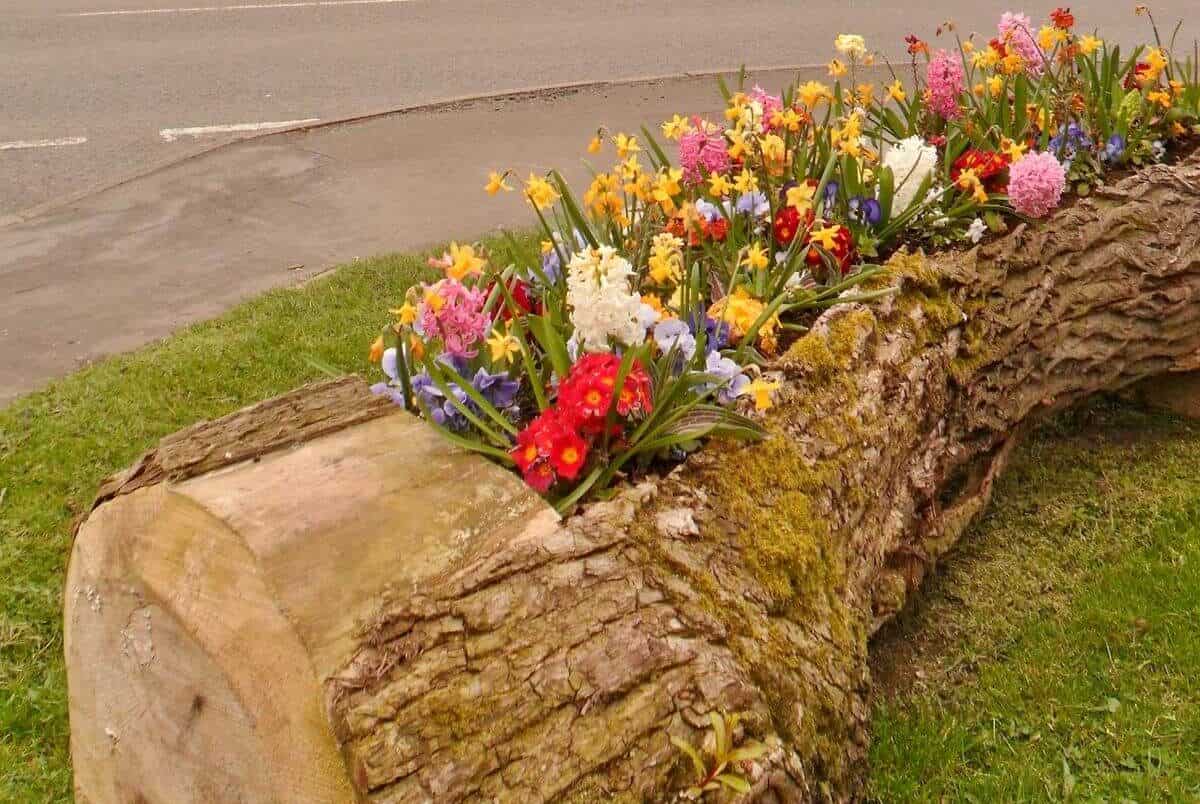 16 Most Amazing Ideas To Improve Your Garden This Summer 16 Most Amazing Ideas To Improve Your Garden This Summer