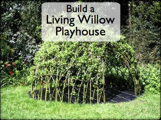 4. Build a Living Willow Playhouse 4. Build a Living Willow Playhouse