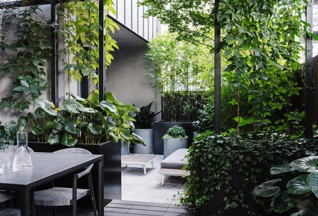 How to Create the Inner-City Terrace Garden Into Your Private Oasis How to Create the Inner-City Terrace Garden Into Your Private Oasis