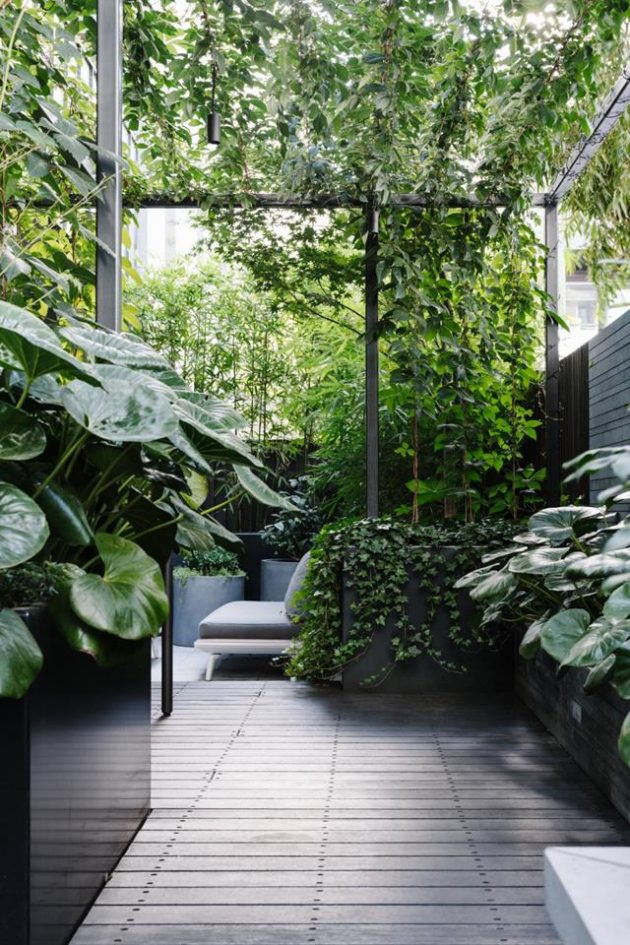 How to Create the Inner-City Terrace Garden Into Your Private Oasis