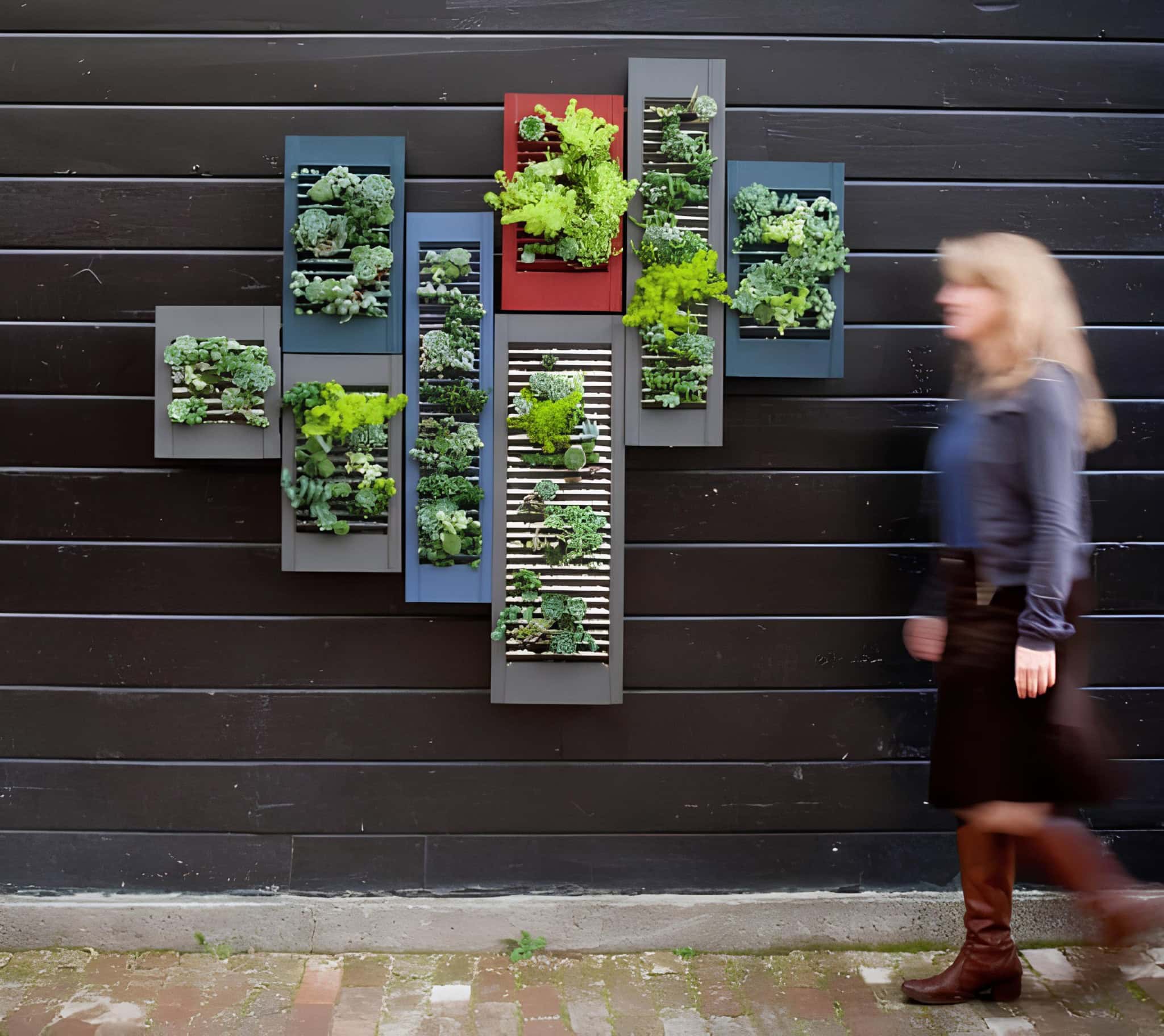 Asymmetrical framed garden planters mounted on dark wall