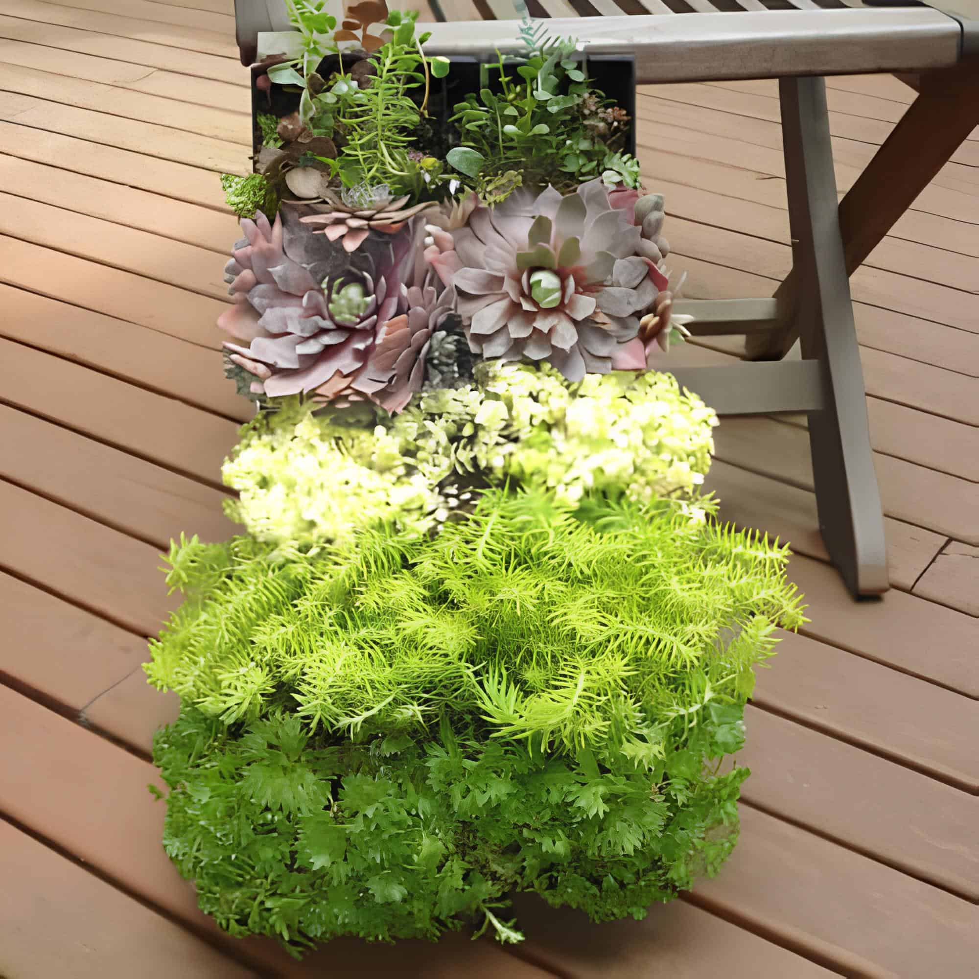 Succulent wall planter with layered texture and rich greens