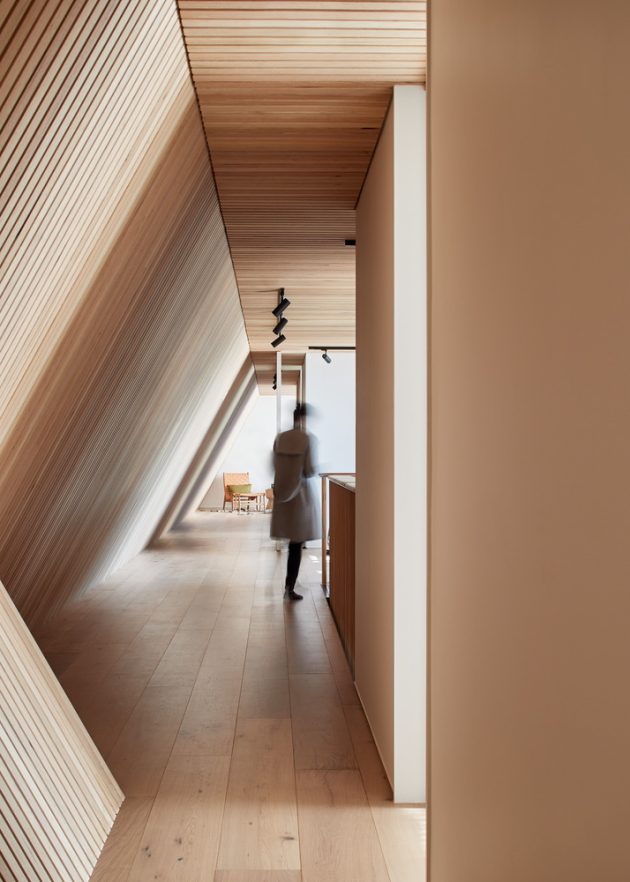 Compound House by March Studio in Brighton, Melbourne