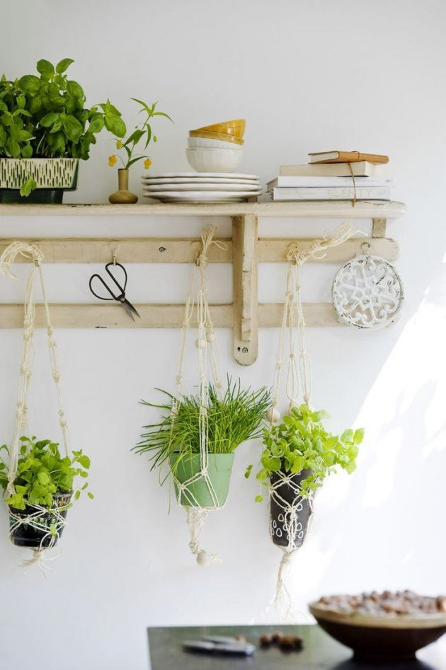 10 Ideas of Home Garden to Get Started Right Now