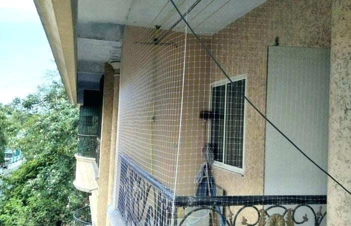 Secure The Balcony Before Buying a Pet Secure The Balcony Before Buying a Pet