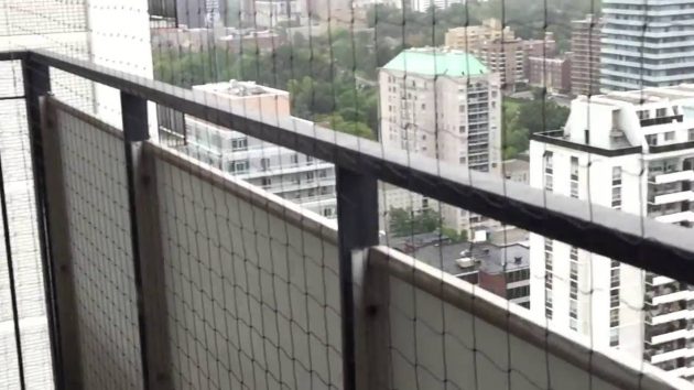 Secure The Balcony Before Buying a Pet