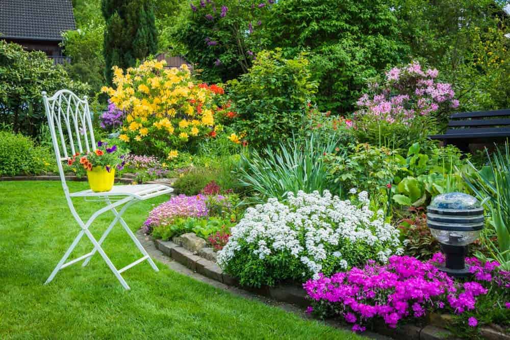 Smart Ideas For Decorating Garden In Drought Areas Smart Ideas For Decorating Garden In Drought Areas