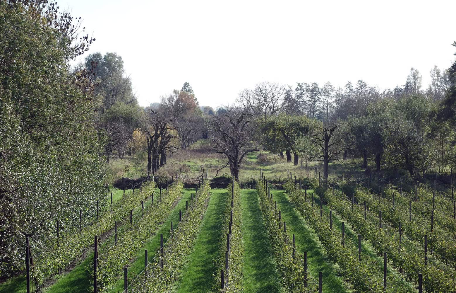Barn Rijswijk by Workshop Architecten in The Netherlands Barn Rijswijk by Workshop Architecten in The Netherlands