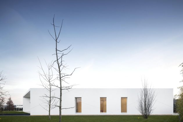 Diamond Tree by 3ndy Studio in Ponzano, Italy