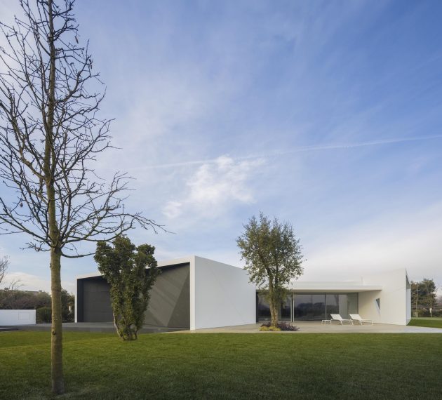 Diamond Tree by 3ndy Studio in Ponzano, Italy