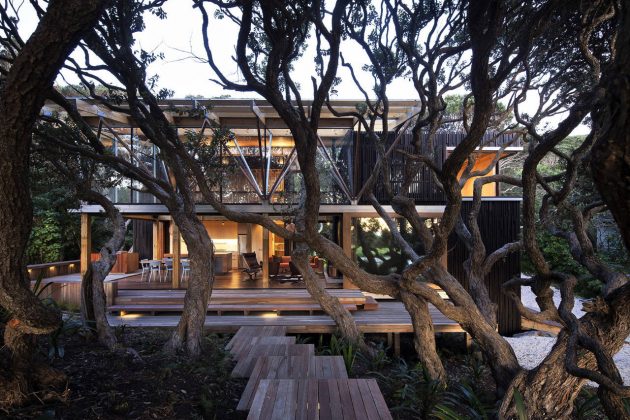 Under Pohutukawa by Herbst Architects in Auckland, New Zealand