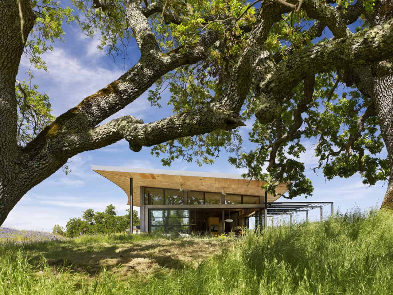 Modern minimalist glass house nestled in lush greenery under a large oak tree, showcasing innovative architecture and contemporary design.