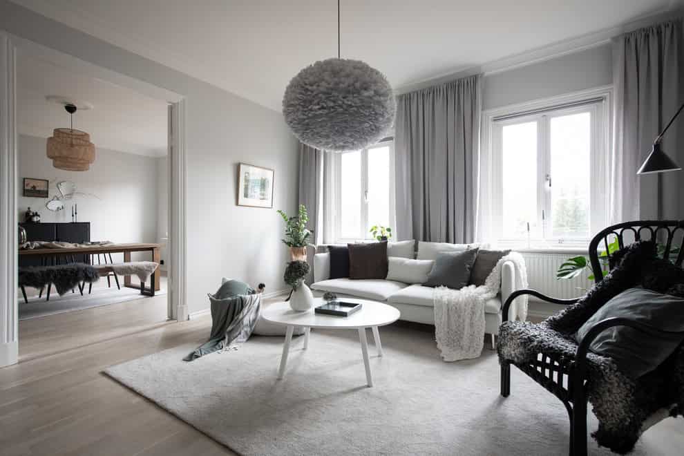 scandinavian living room idea