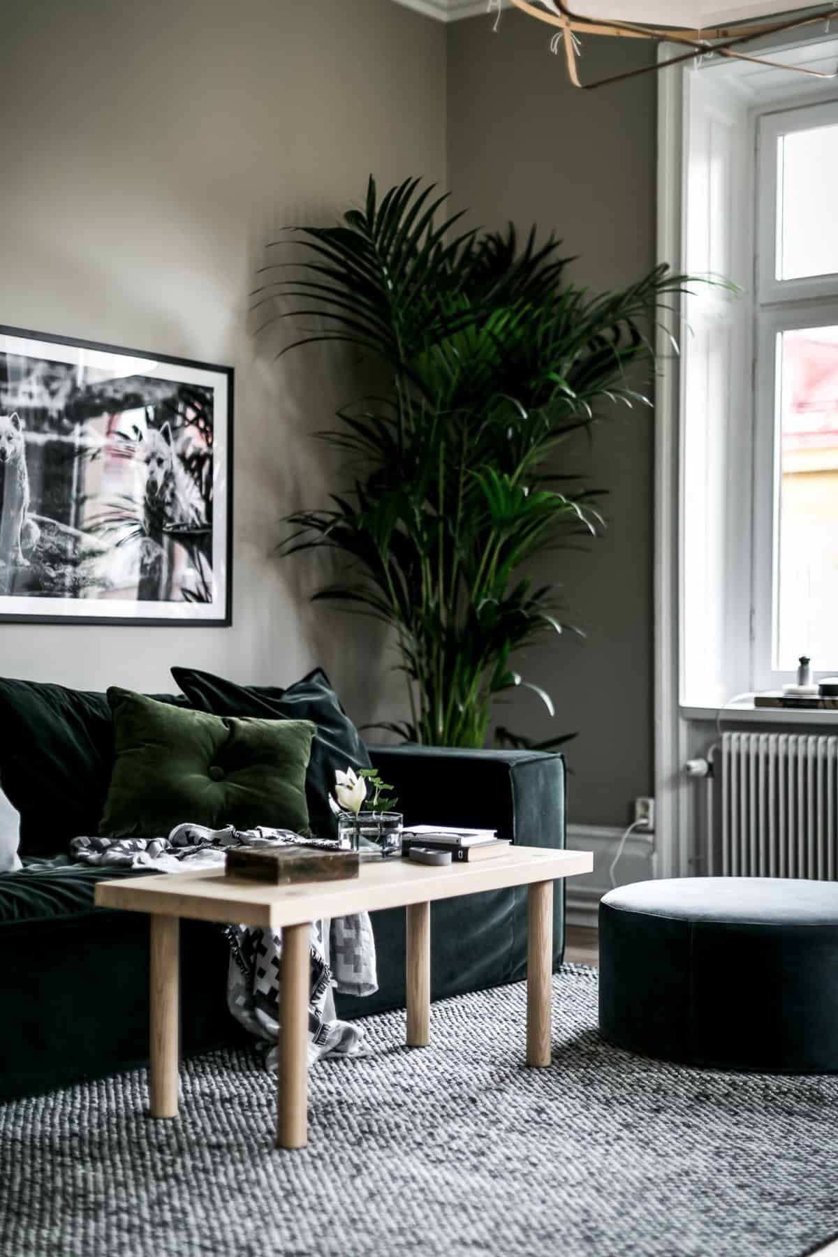 Decor Trend 2020 - Contrasts In Deep Green Decor Trend 2020 - Contrasts In Deep Green