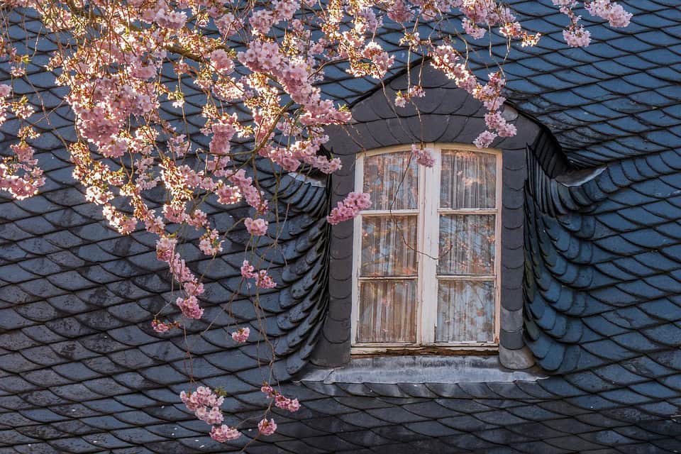 Choosing The Best Roofing Material For Your Home’s New Roof