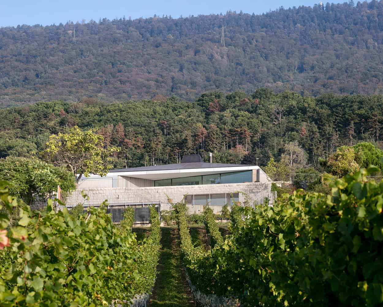 House in Hauterive, Switzerland by Bauzeit Architekten House in Hauterive, Switzerland by Bauzeit Architekten