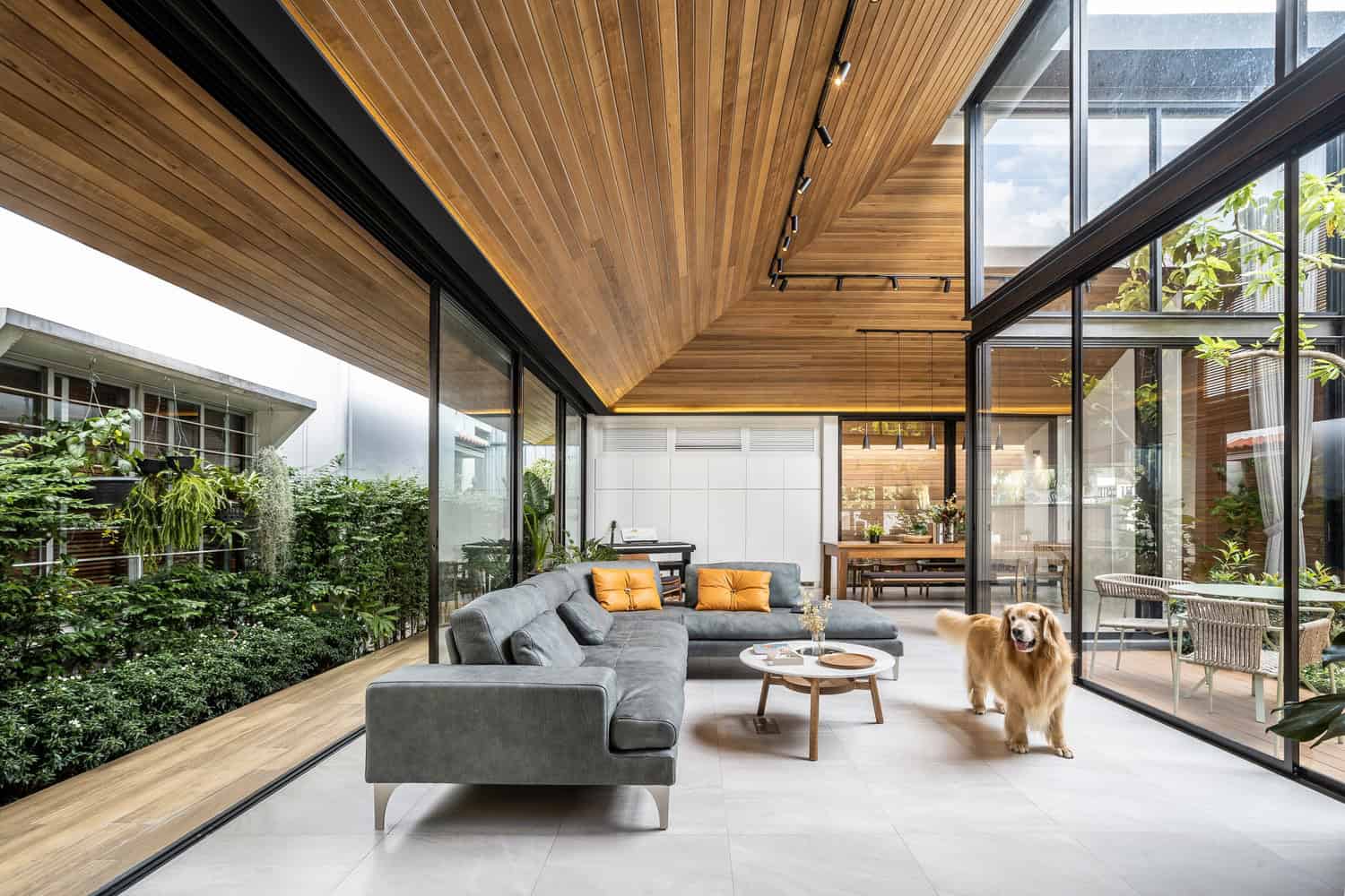 Modern indoor living room with floor-to-ceiling glass walls, wooden ceiling and green indoor plants, highlighting contemporary architecture and elegant interior design in a bright, open space.