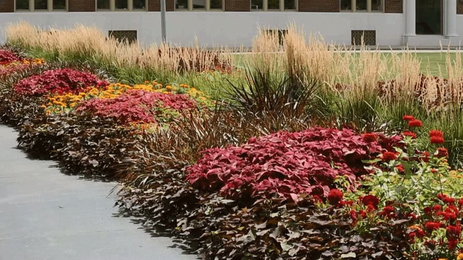 Getting A Head Start On The Perfect Garden