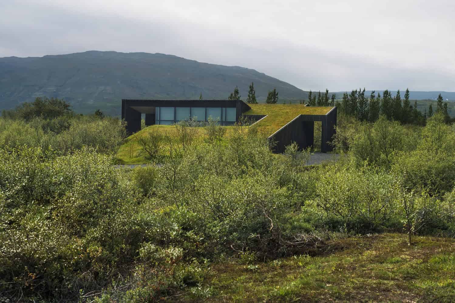 Modern black house with green roof blending into natural landscape, minimalist and eco-friendly architecture, scenic mountain view, innovative design in rural setting.