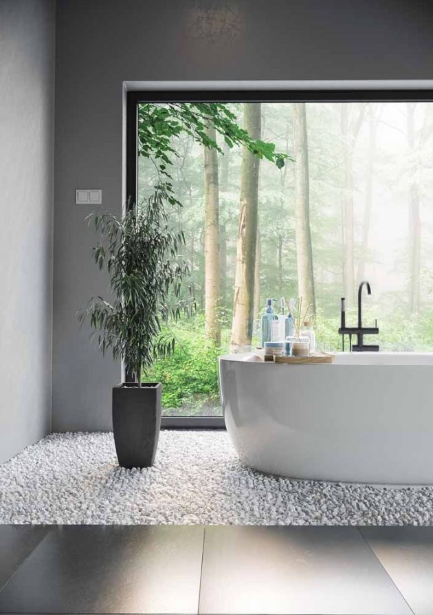 9 Species of Bathroom Plants That Would Fit Perfectly