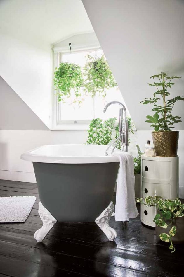 9 Species of Bathroom Plants That Would Fit Perfectly