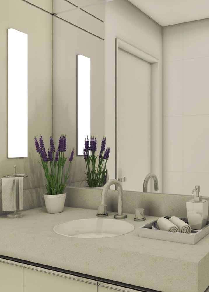 9 Species of Bathroom Plants That Would Fit Perfectly 9 Species of Bathroom Plants That Would Fit Perfectly