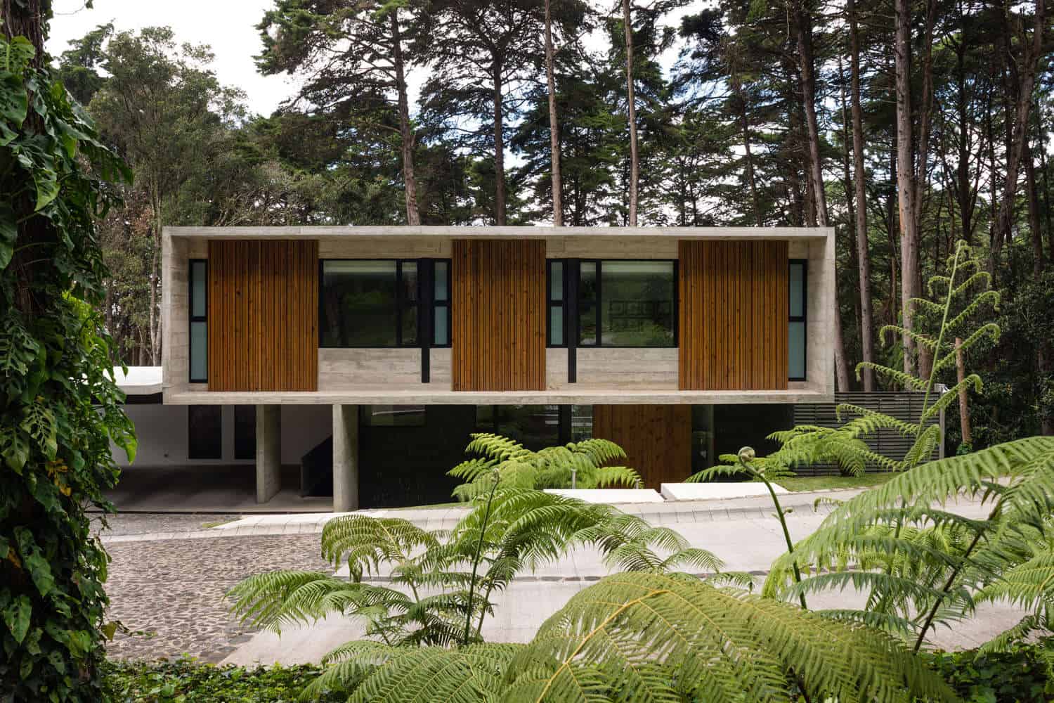 Modern minimalist house with concrete and wooden accents nestled among tall trees, showcasing contemporary architecture design and innovative outdoor landscape.