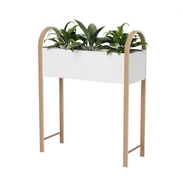 5 Indoor Planters for Your Plants