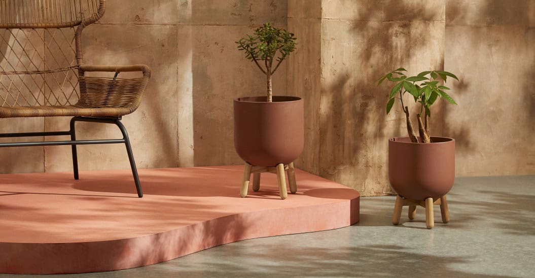 How to Highlight Your Indoor Plants